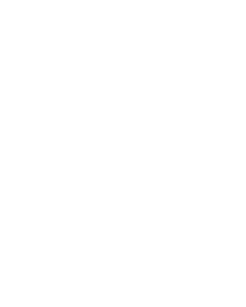 Teslatreffen Grünheide